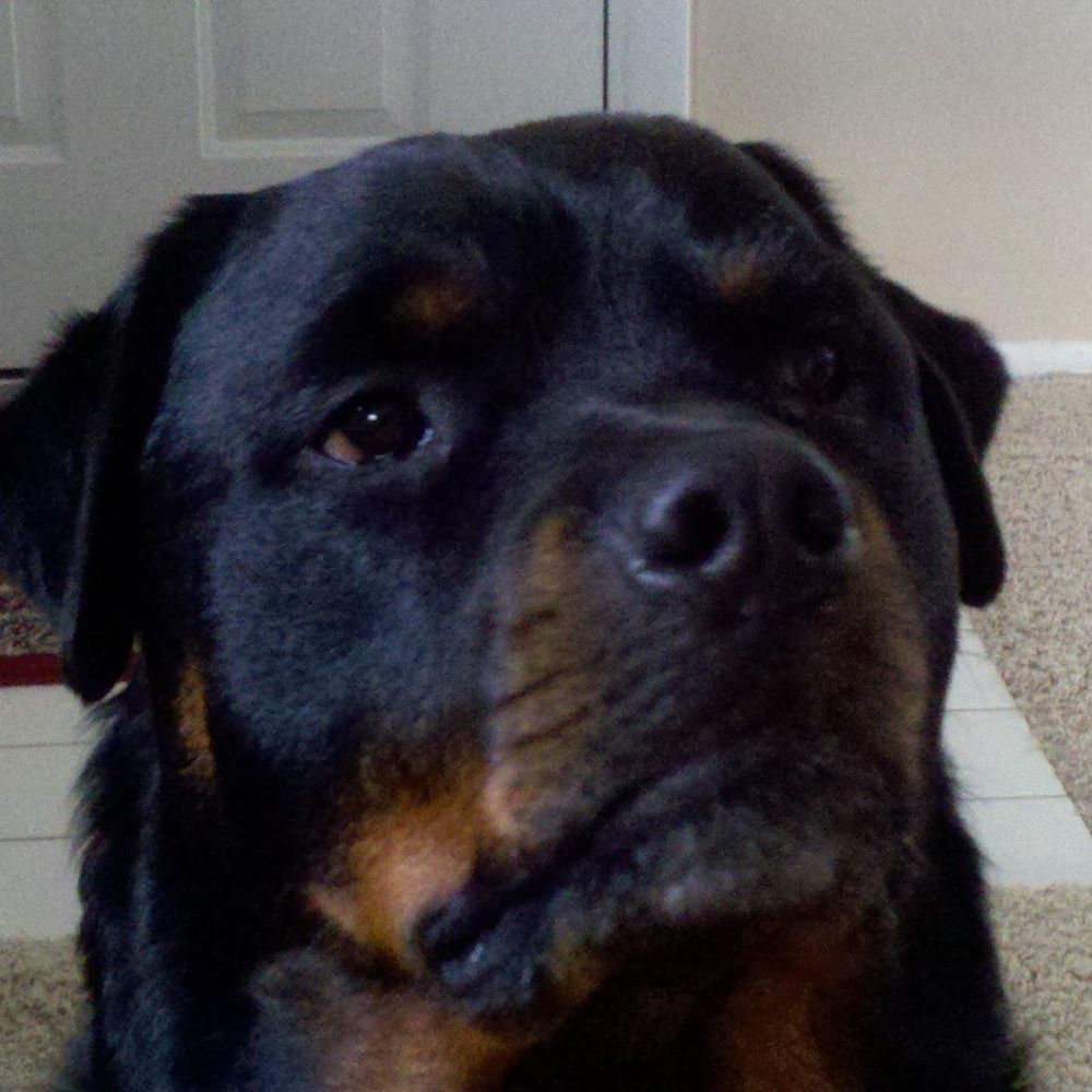 Meet your Posher, Sherry